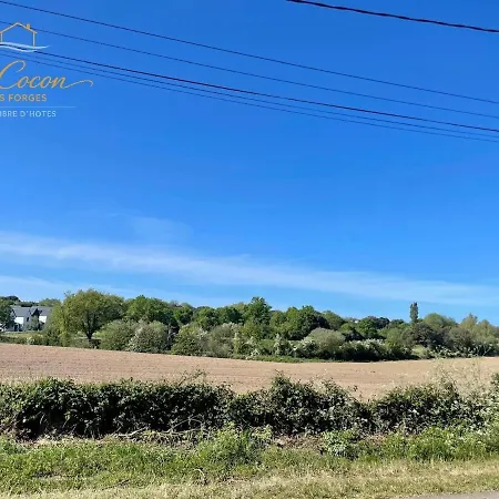 Le Cocon Des Forges * Talmont-Saint-Hilaire